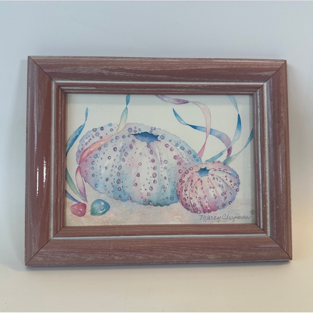 VTG Marcy Chapman Sea Urchin Watercolor‎ Print Signed Matted Framed Beach 1994